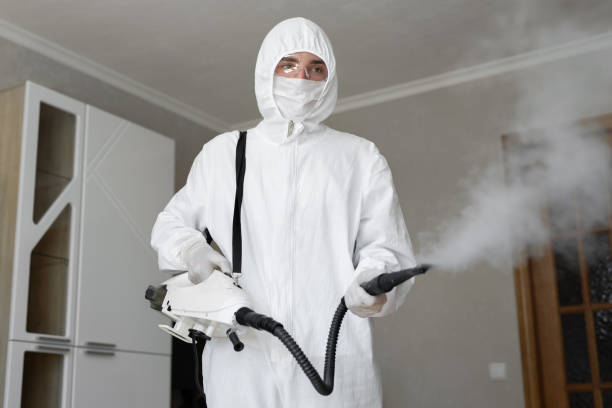 Best Mold Removal for HVAC Installations  in Hampton, SC